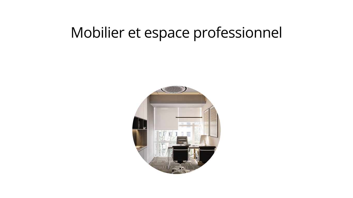 Mobilier et espace professionnel (4)